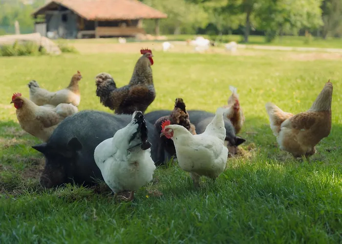 Jesuskoa Casa rural Zumaia